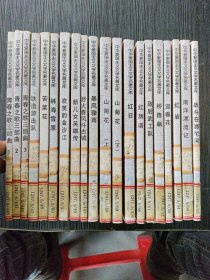 中华爱国主义文学名著文库：第一、二辑（全20册）
