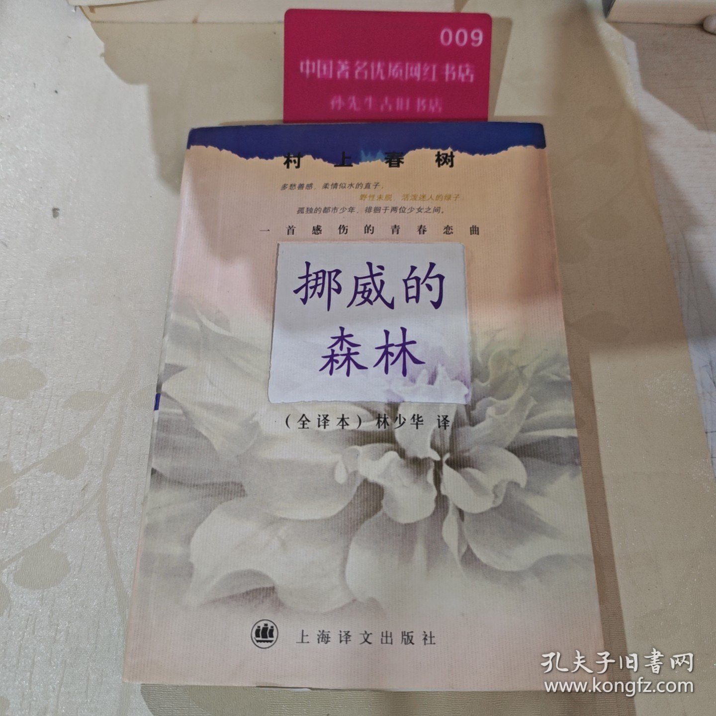 挪威的森林树上春树上海译文出版社H39125H41133