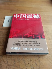 中国震撼：一个“文明型国家”的崛起