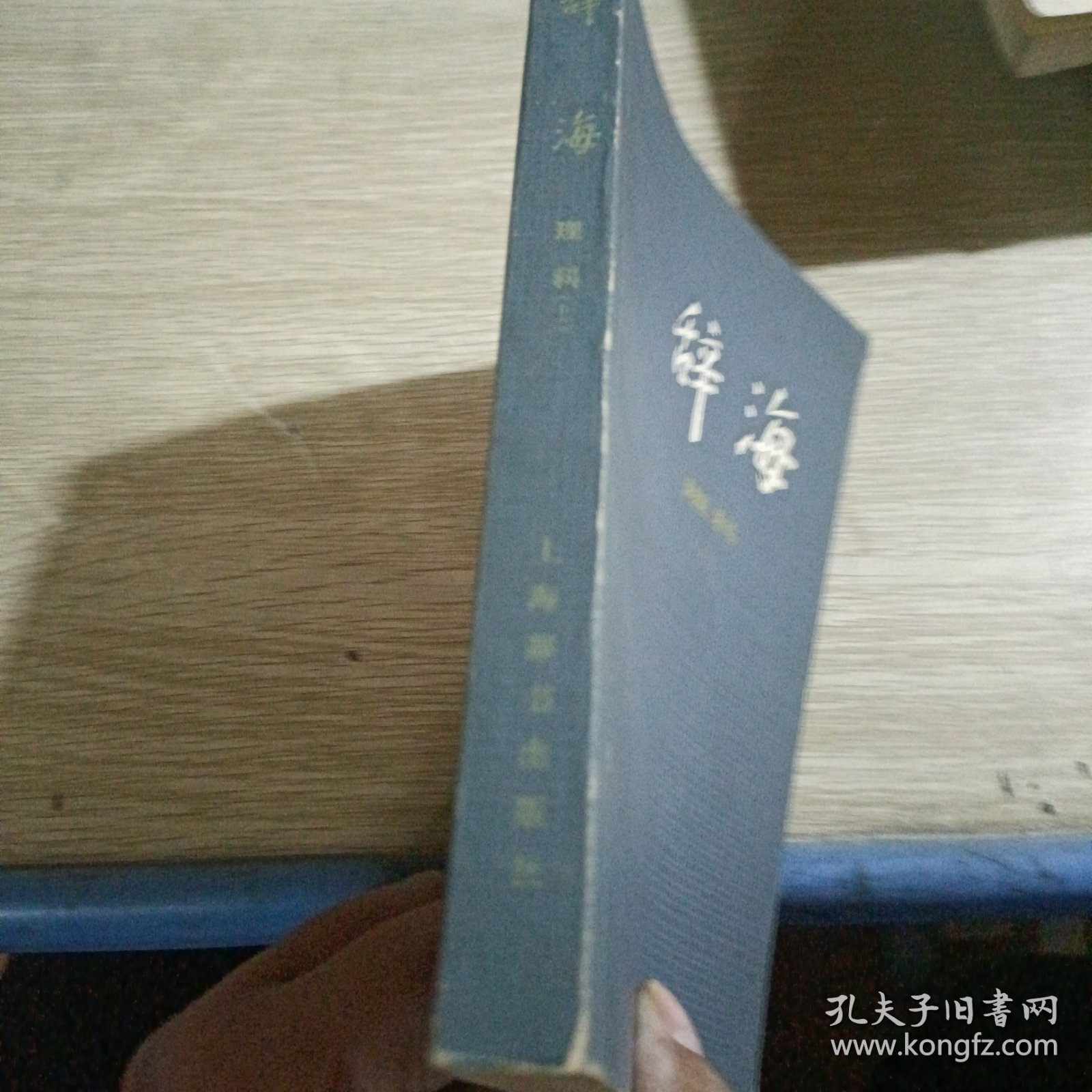 辞海理科分册(上)