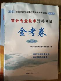 审计专业技术资格考试金考卷（初级2020全新版）