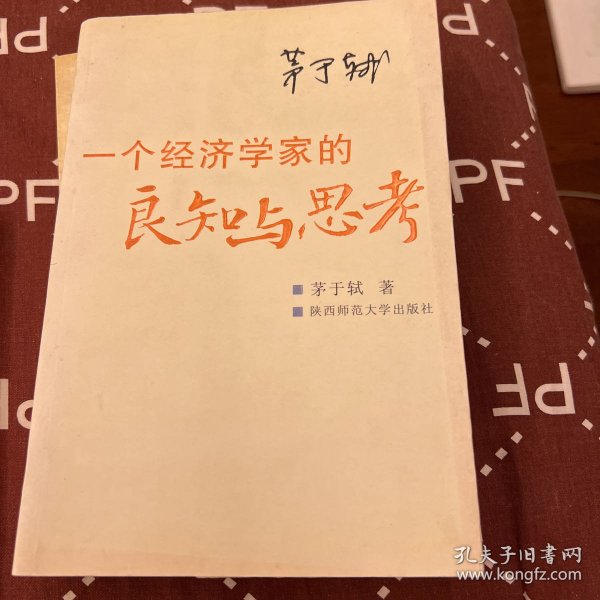 一个经济学家的良知与思考：当前社会问题随笔