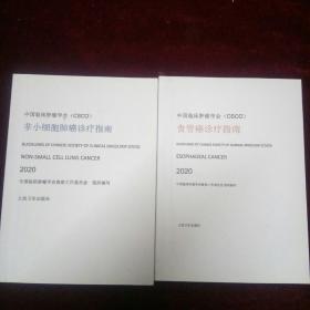 中国临床肿瘤学会csco（食管癌诊疗指南）+（非小细胞肺癌诊疗指南）两本合售