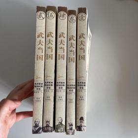 武夫当国：北洋军阀统治时期史话1895-1928(全5册)