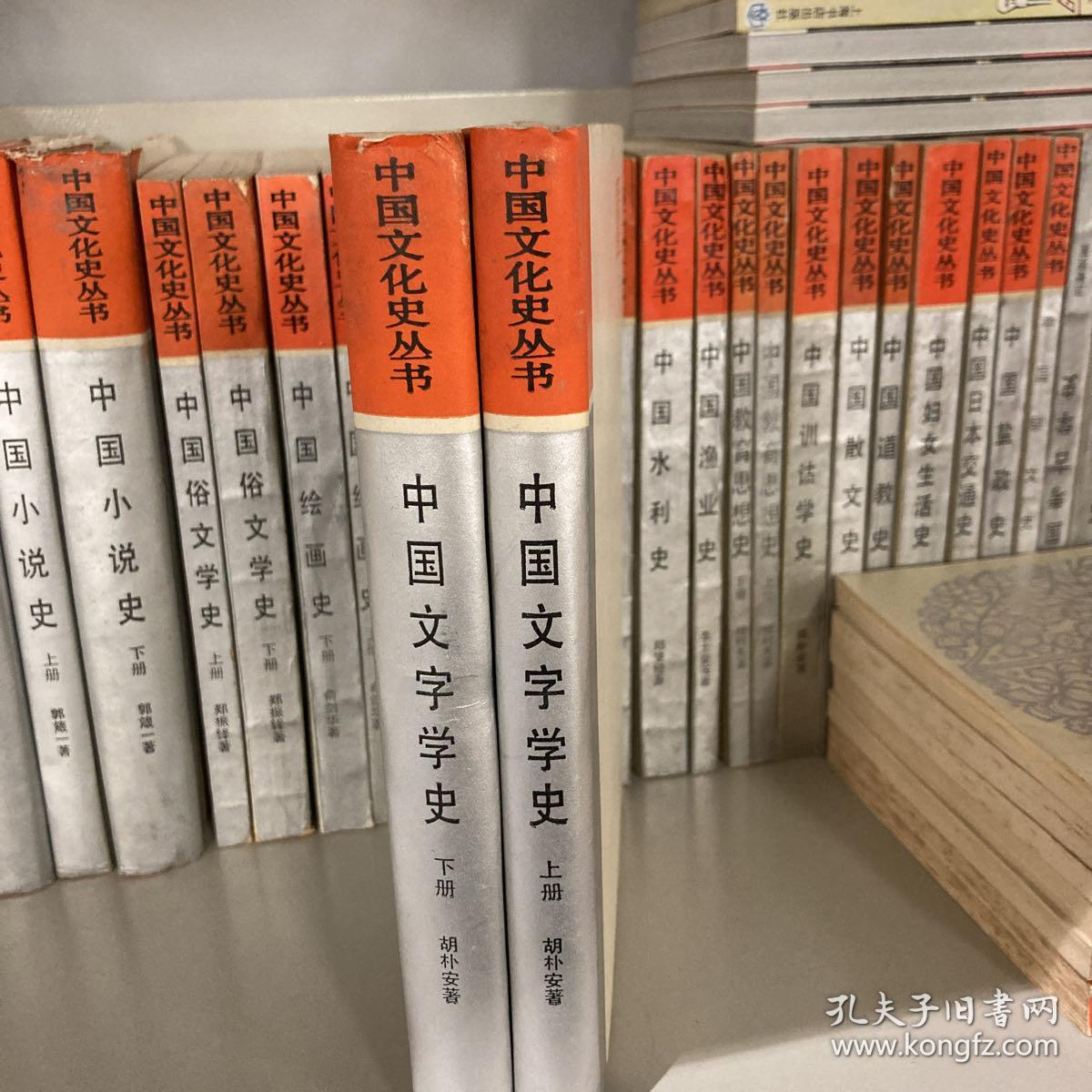 中国文学史（中国文化史丛书）上下册 精装一版一印