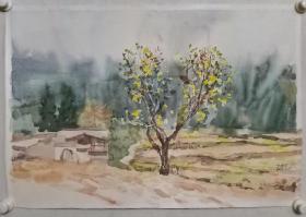 保真书画，韦俊平风景水彩画，尺寸50.5×76cm，带作者合影。 韦俊平，现为广西艺术学院副院长、广西美术家协会副主席、漓江画派促进会副会长、广西水彩画家协会副会长、中国美术家协会会员。第四幅