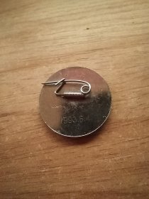 徽章纪念章一枚：南师青年艺术节1993.5.4