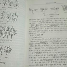 园艺植物栽培学（第2版）/普通高等教育“十一五”国家级规划教材