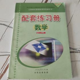 人教版八年级上册数学配套练习册