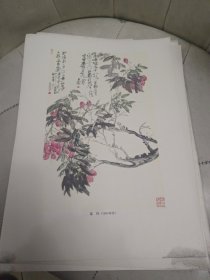 吴昌硕画集（册页12张全）海派大师