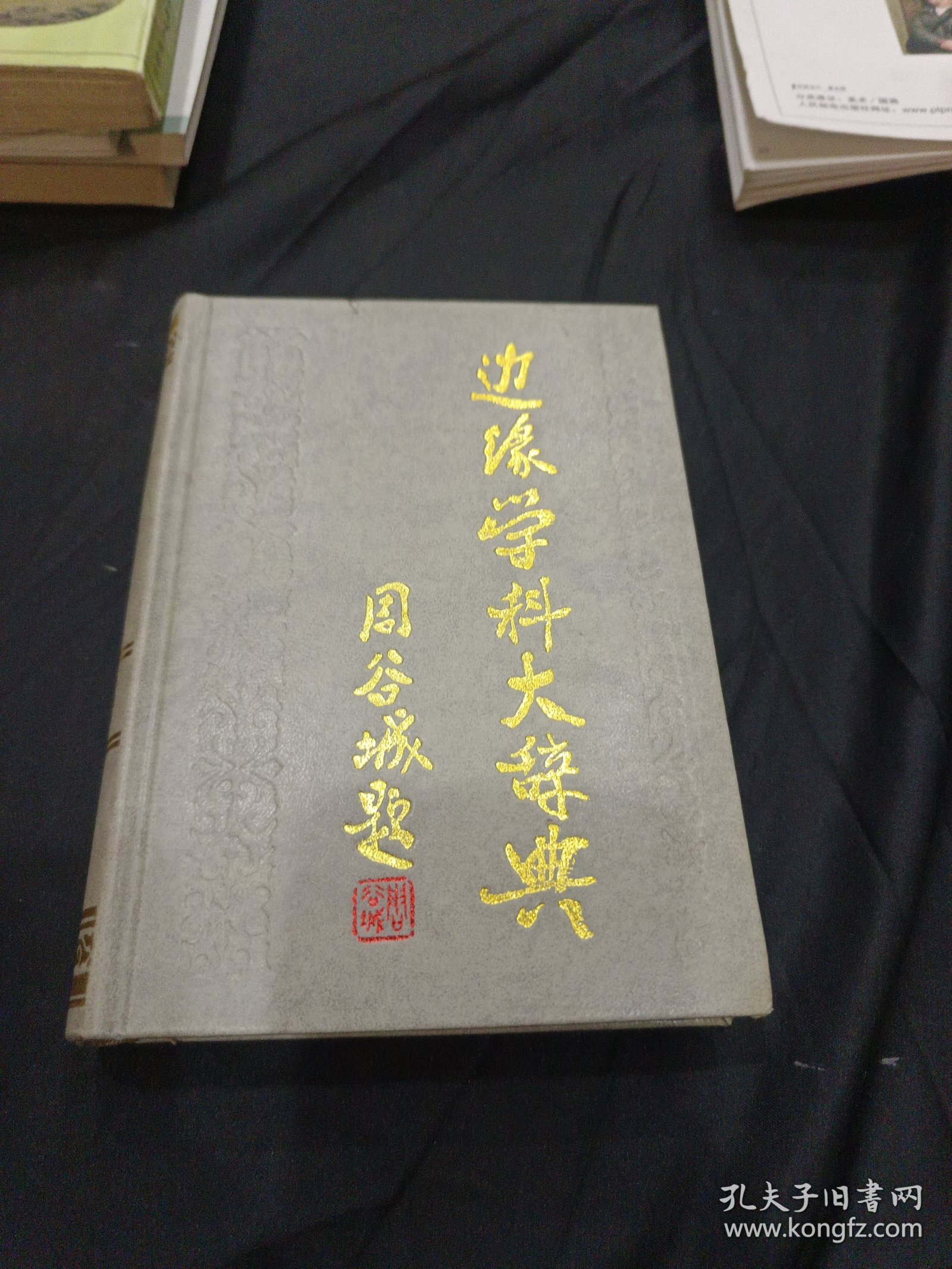 边缘学科大辞典
