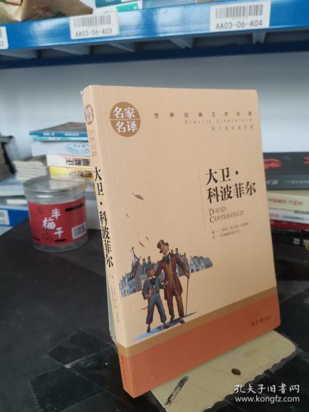 大卫 科波菲尔 中小学生课外阅读书籍世界经典文学名著青少年儿童文学读物故事书名家名译原汁原味读原著