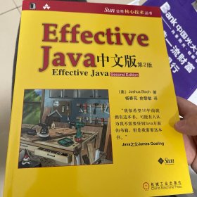 Effective java 中文版（第2版）