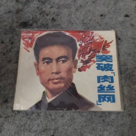 突破肉丝网 （存世不多，足品更难）