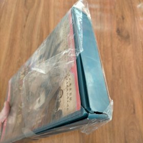 执政为民电视连续剧VCD全26碟装(原封未拆)外盒坏,碟片完好