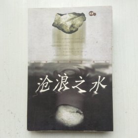 沧浪之水(阎真 著)
