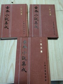 古本小说集成 二奇合传（上中下）三册全 馆藏书未借阅 自然旧实物如图