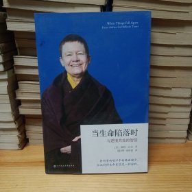 当生命陷落时：与逆境共处的智慧