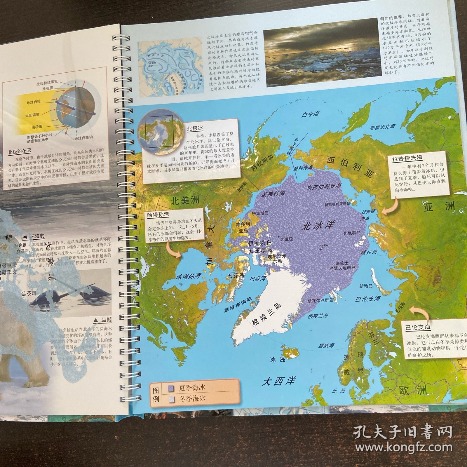 英国DK透视科普书系列：海洋【附光盘】