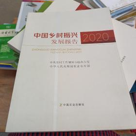 中国乡村振兴发展报告(2020)