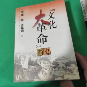 文化大革命简史