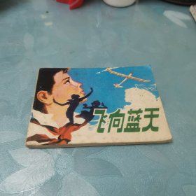 飞向蓝天（连环画）