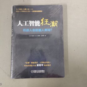 人工智能狂潮：机器人会超越人类吗？（全新未拆封）