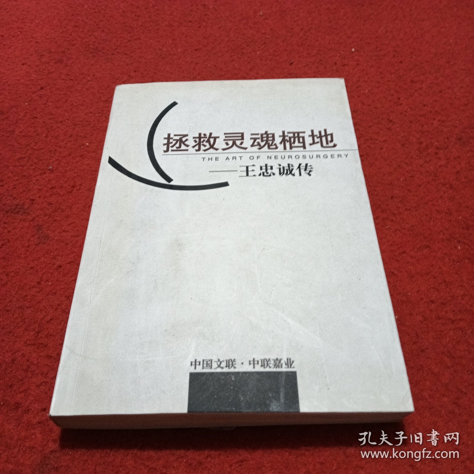 拯救灵魂栖地——王忠诚传