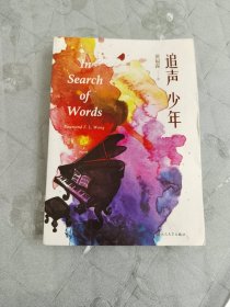 追声少年