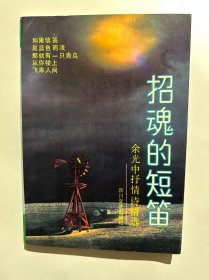 书名招魂的短笛