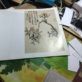 荣宝斋画谱 古代部分十六 清·石涛绘 （二）花卉荣宝斋画谱