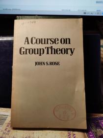 a course of group theory