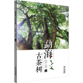 勐海古茶树 生活休闲  新华正版