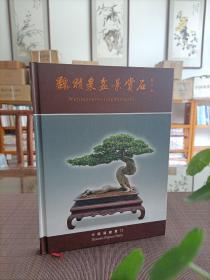 魏积泉盆景赏石