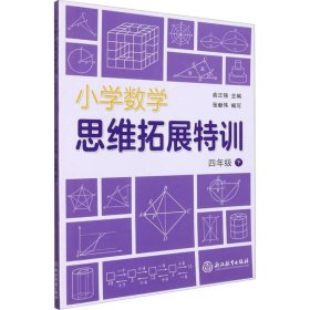 小学数学思维拓展特训