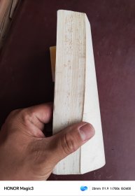 十万个为什么 13上海人民出版社