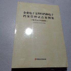 企业电子文件归档和电子档案管理试点案例集（电子会计档案卷）