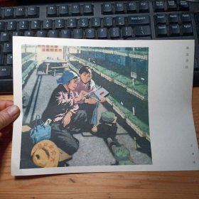 新苗茁壮：16开散页画一张