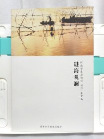 谜海观澜 阿源智泉居谜话、谜作、鉴赏篇 灯谜类书籍