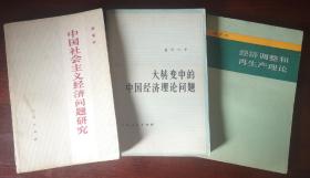 中国社会主义经济问题研究/大转变中的中国经济理论问题/经济调整和再生产理论（捆绑销售）