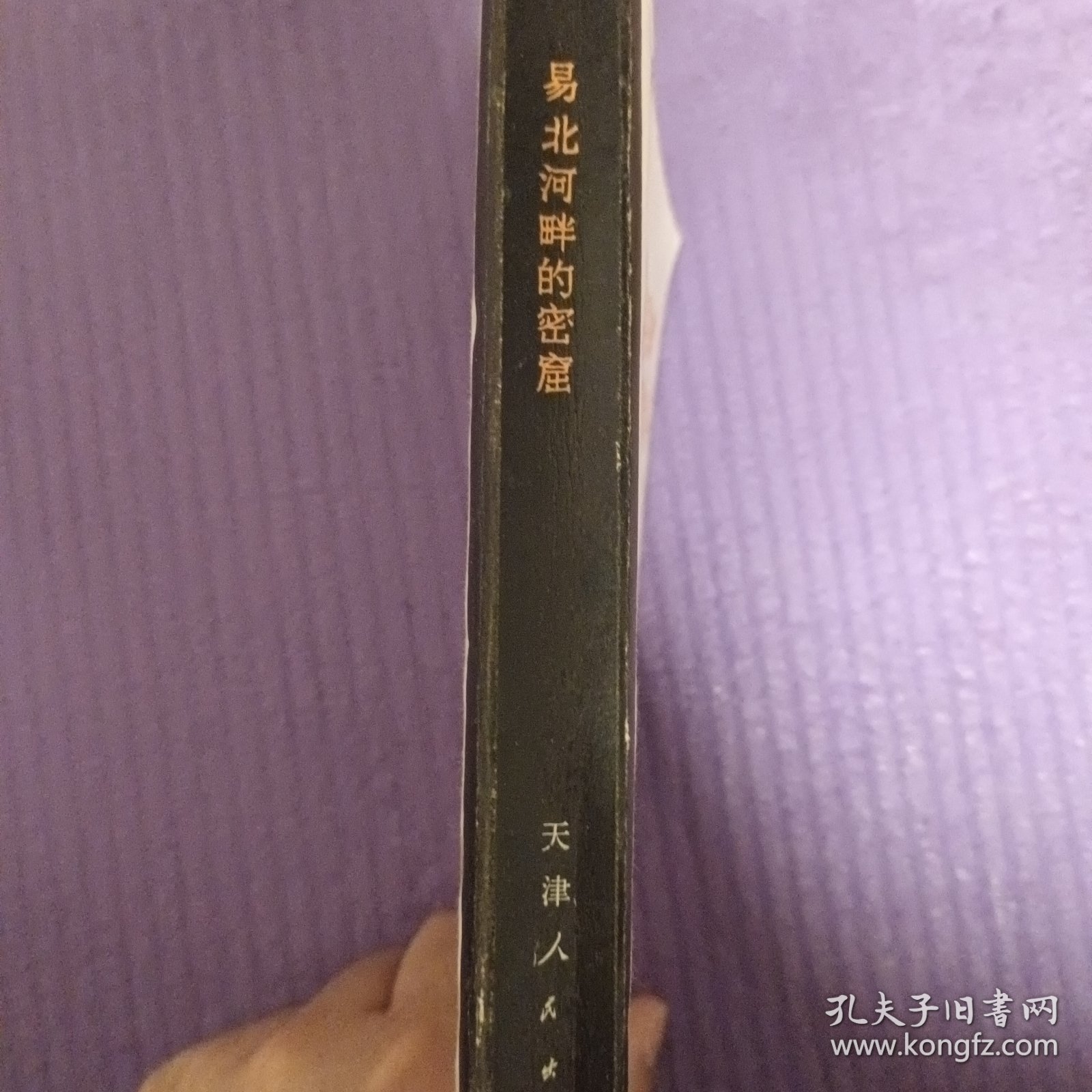 易北河畔的密