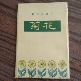 菊花（一套12张）