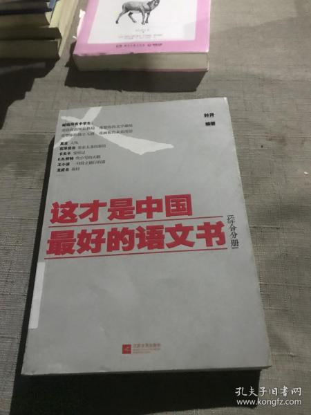 这才是中国最好的语文书：综合分册