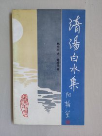 史成俊钢笔书法《清汤白水集》，详见图片及描述