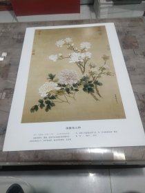 画春花三种（卡纸）