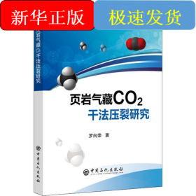 頁巖氣藏CO2干法壓裂研究