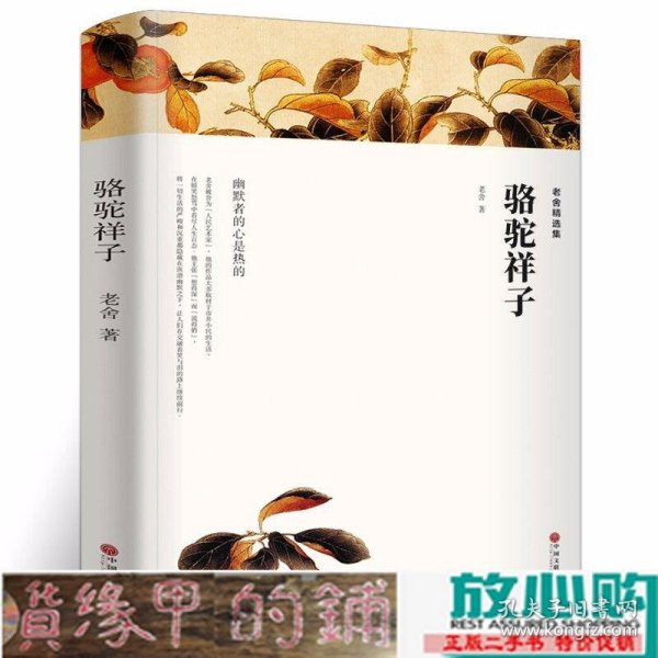 老舍精选集(骆驼祥子+茶馆+龙须沟)七年级下册原著完整版语文丛书初中生课外阅读书籍