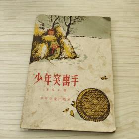 少年突击手