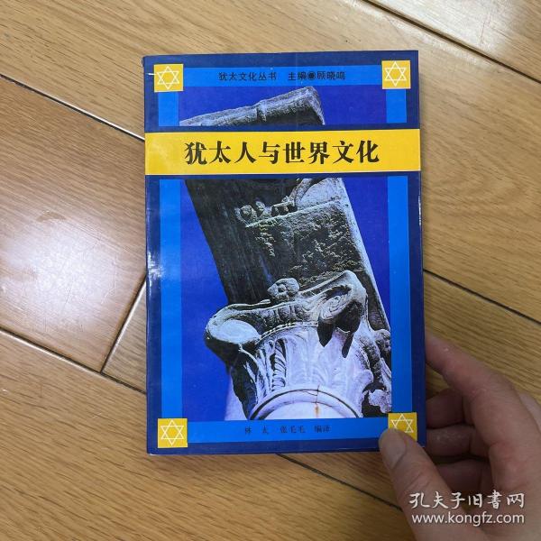 犹太人与世界文化:在科学、文学和社会法律的维度上