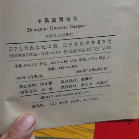 中国国情报告（放阁楼位）